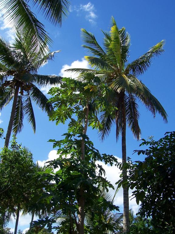 Blue Moon Beach Holiday Resort Inhambane Exterior foto